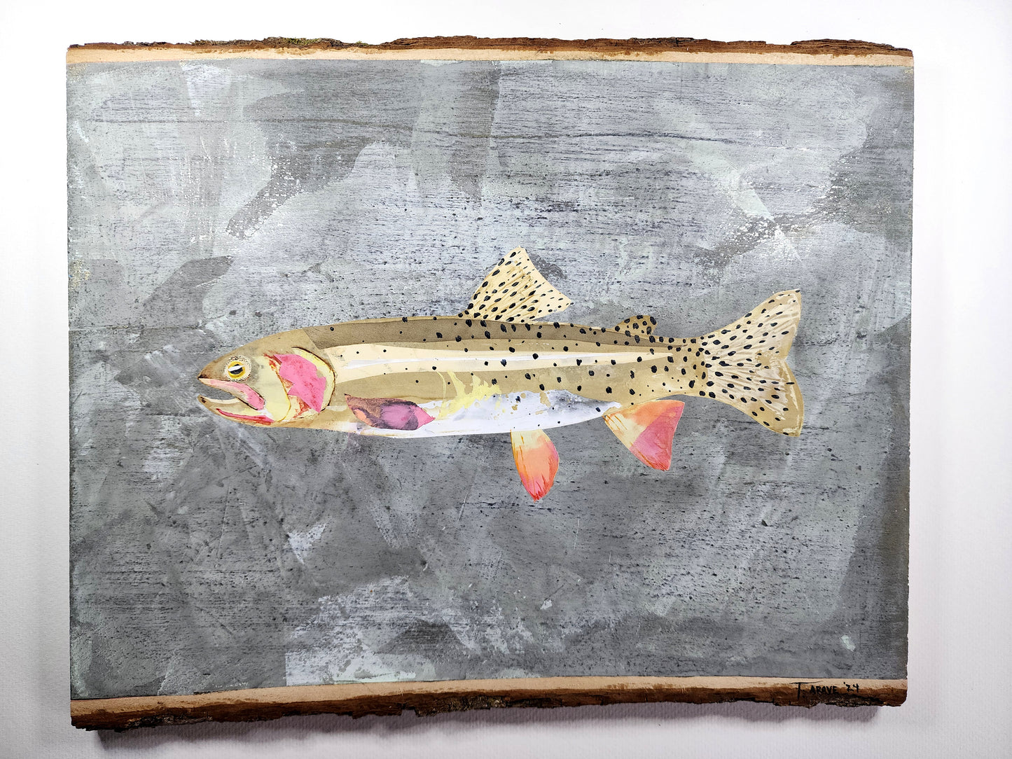 Idaho Cutthroat Trout