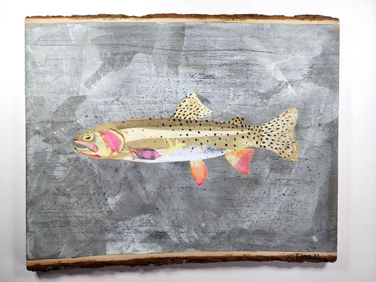 Idaho Cutthroat Trout