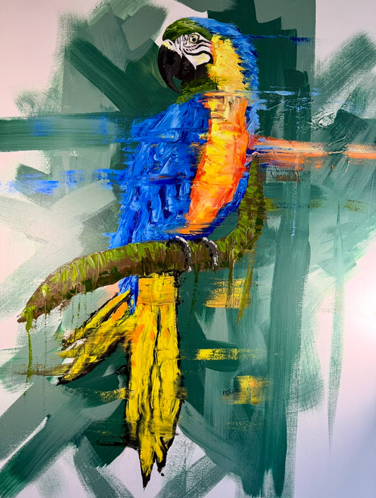 Blue & Gold Macaw